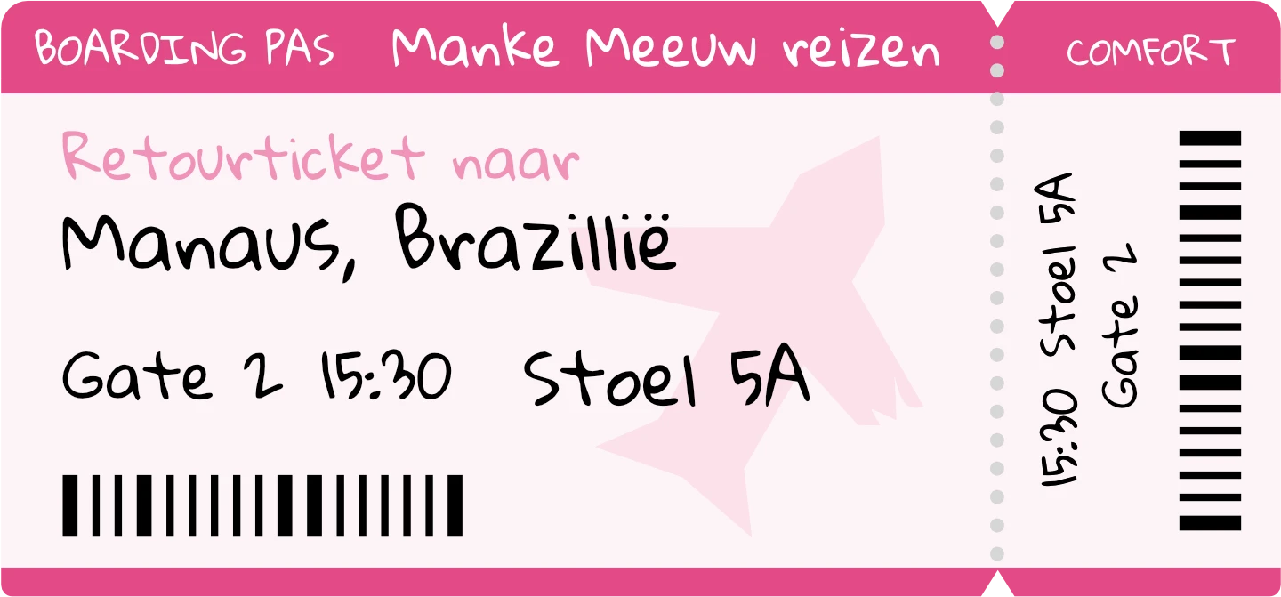 Het vliegticket